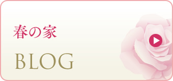 春の家,BLOG